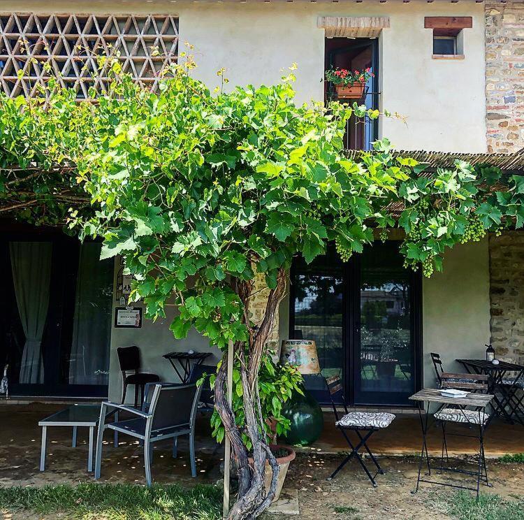 Bosco Ai Marzi Bed & Breakfast Poggibonsi Exterior photo